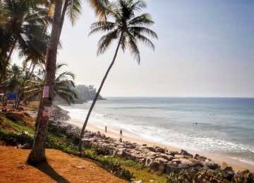 Yoga Teacher Course 200 Hours (Kerala, India) - 01/16/24 - 02/09/24