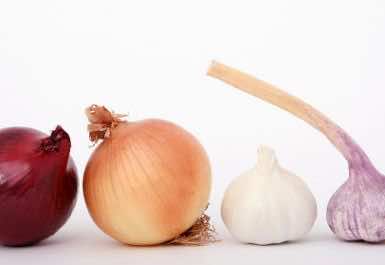 Can I eat onions and garlic if I practice yoga and meditation?